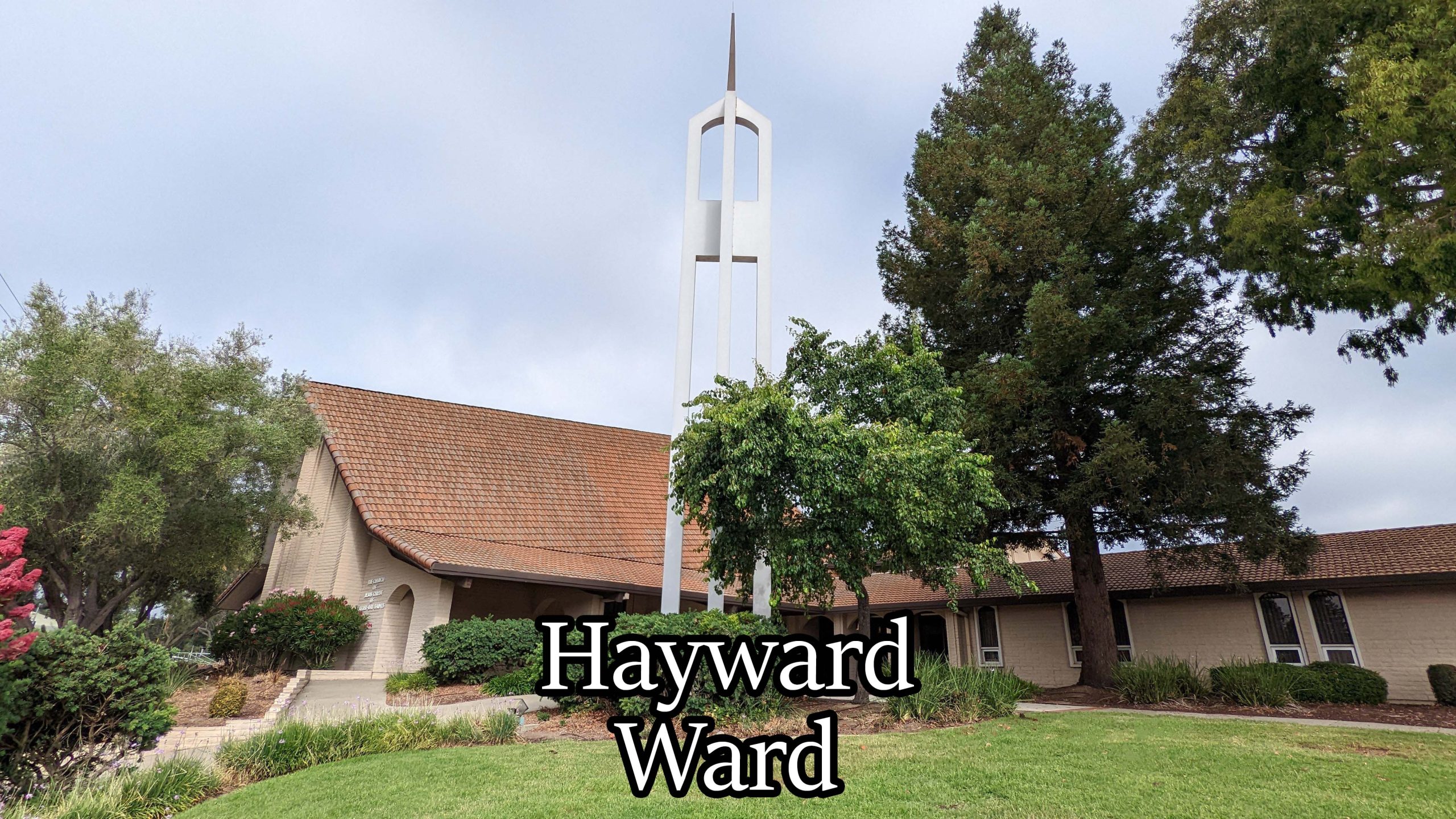 Hayward Ward